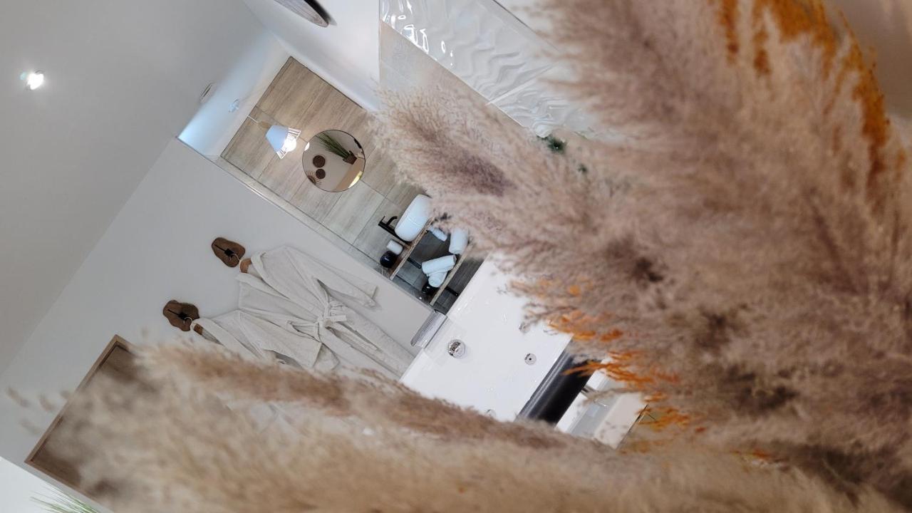Studio Design Cocon Spa Prive A Deux Pas De Lille Bassee Buitenkant foto